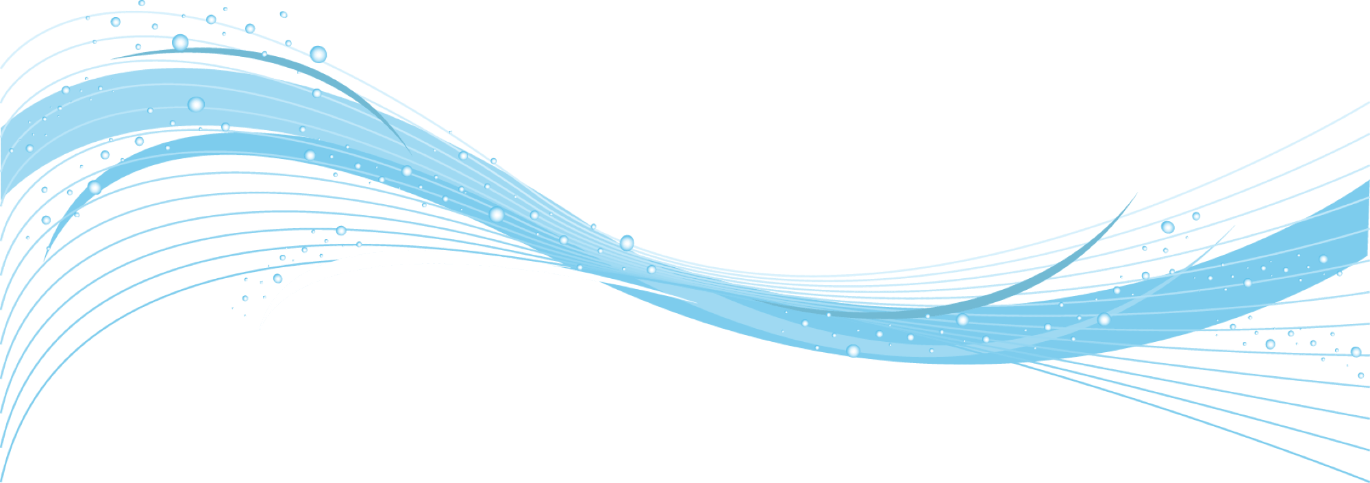 Website Development Company